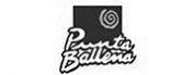 Punta Ballena